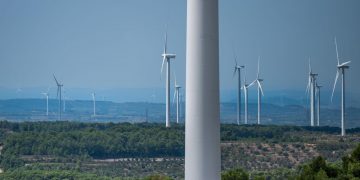 Celebren la desestimació de dos dels parcs èolics projectats a la Terra Alta