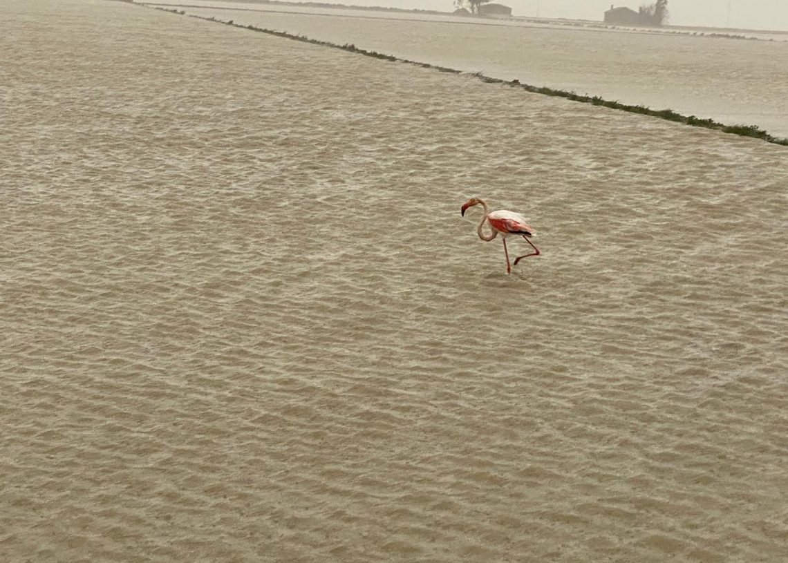 D.O. Aquesta Nostra Petita Terra