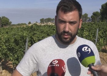 UP demana que el preu del raïm a la Terra Alta siga superior als 0,40 euros per quilo