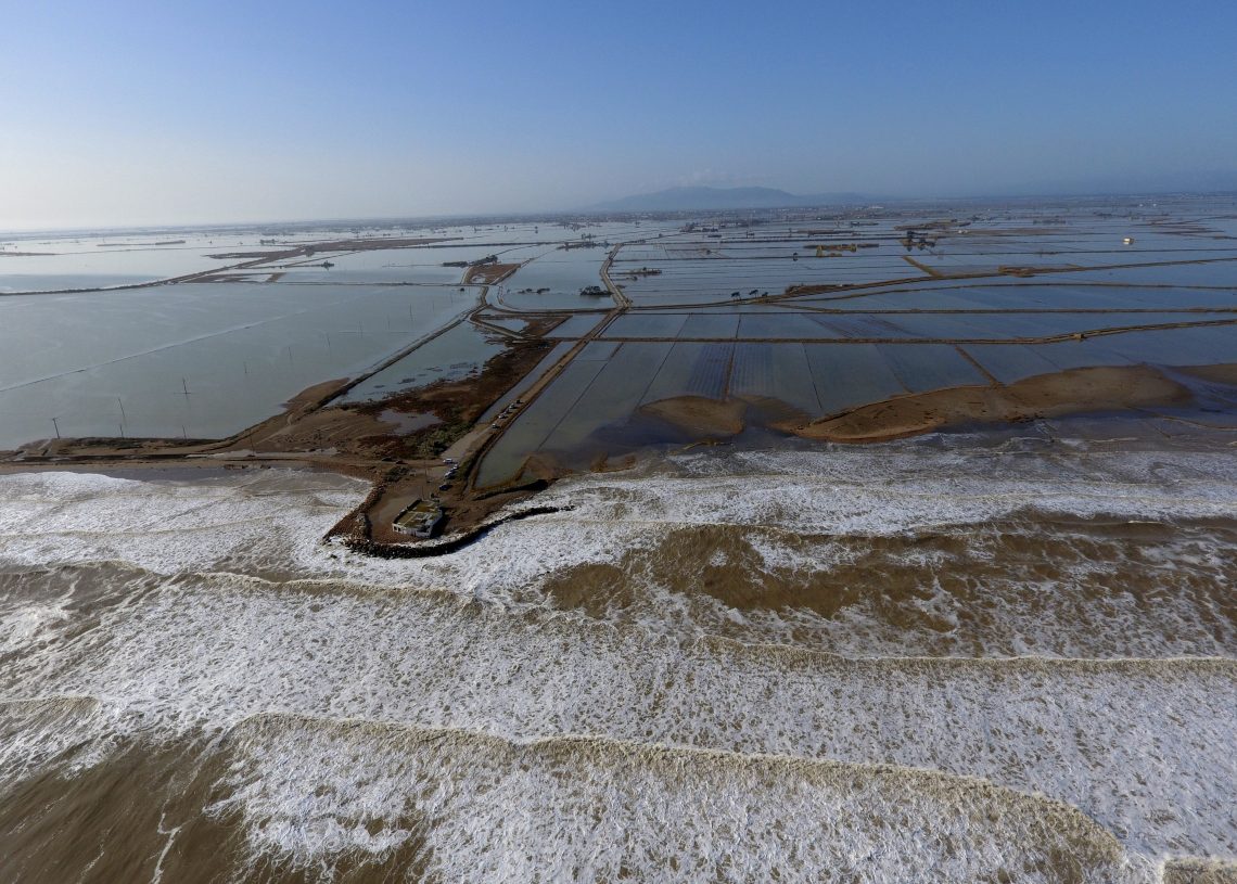 Organitzacions agràries del Delta reclamen més actuacions per evitar la intrusió del mar