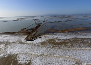 Organitzacions agràries del Delta reclamen més actuacions per evitar la intrusió del mar