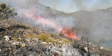Controlat un incendi a la serra del Montsià