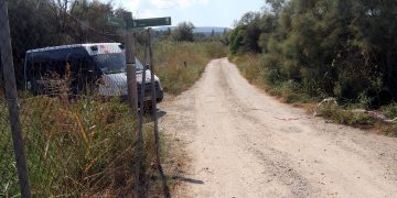 Els Mossos investiguen com un homicidi la mort de l’home trobat enmig d’una plantació de marihuana a Flix