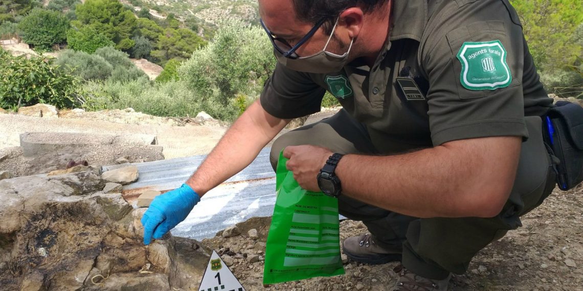 Denuncien el propietari d’una caseta de camp de Tortosa per enverinar gossos