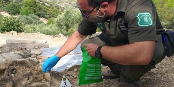 Denuncien el propietari d’una caseta de camp de Tortosa per enverinar gossos