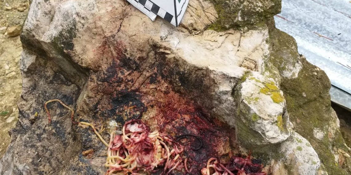 Denuncien el propietari d’una caseta de camp de Tortosa per enverinar gossos