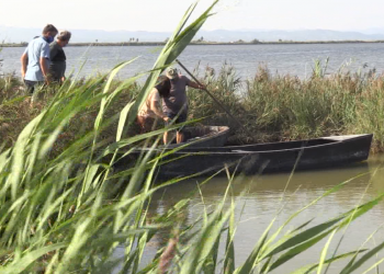 Així s’ha regenerat la llacuna del Canal Vell