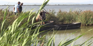 Així s’ha regenerat la llacuna del Canal Vell