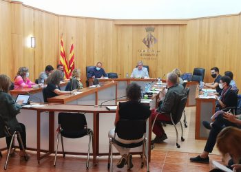 El Consell Comarcal aprova el Pla de  Polítiques de Dones del Baix Ebre 2021-2024