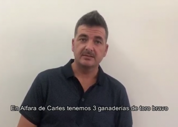 [#VÍDEO] La resposta de la Fundación Toro de Lidia a la plataforma Prou Correbous