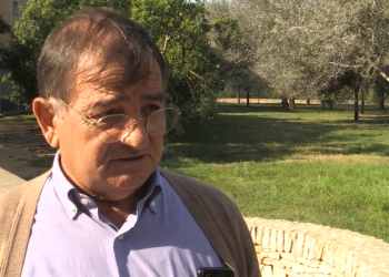 Asaja alerta que Agricultura pot deixar perdre uns ajuts europeus pel coronavirus