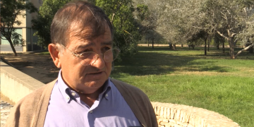 Asaja alerta que Agricultura pot deixar perdre uns ajuts europeus pel coronavirus