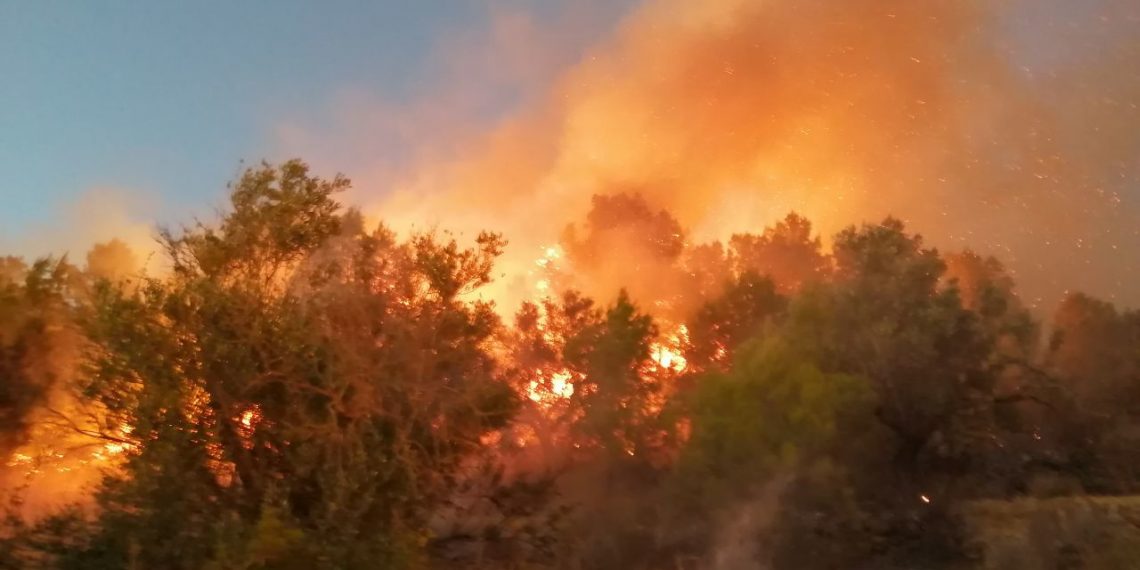 Els Bombers continuen treballant per extingir l’incendi de Coll Redó amb una desena de dotacions