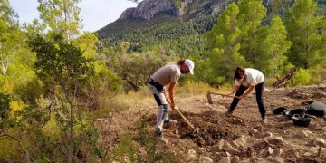 Els arqueòlegs estimen que el jaciment d’Alfara de Carles és de ‘grans dimensions’