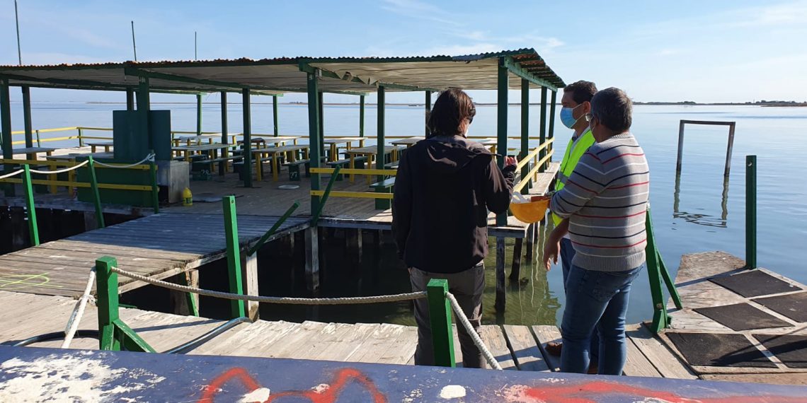📷 [#Fotogaleria] Així ha anat l’inici del desmantellament del Xiringuito de la Ràpita