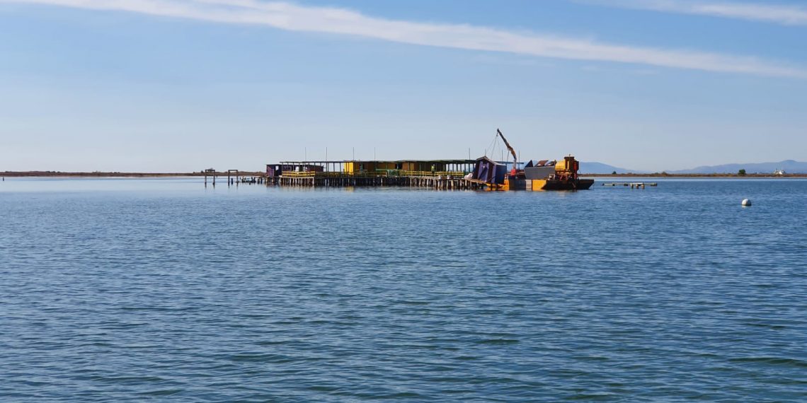 📷 [#Fotogaleria] Així ha anat l’inici del desmantellament del Xiringuito de la Ràpita
