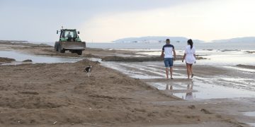 Entitats conservacionistes defensen la dinàmica natural del Trabucador