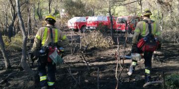 Els Bombers donen per controlat l’incendi a la zona de Coll Redó de Tortosa