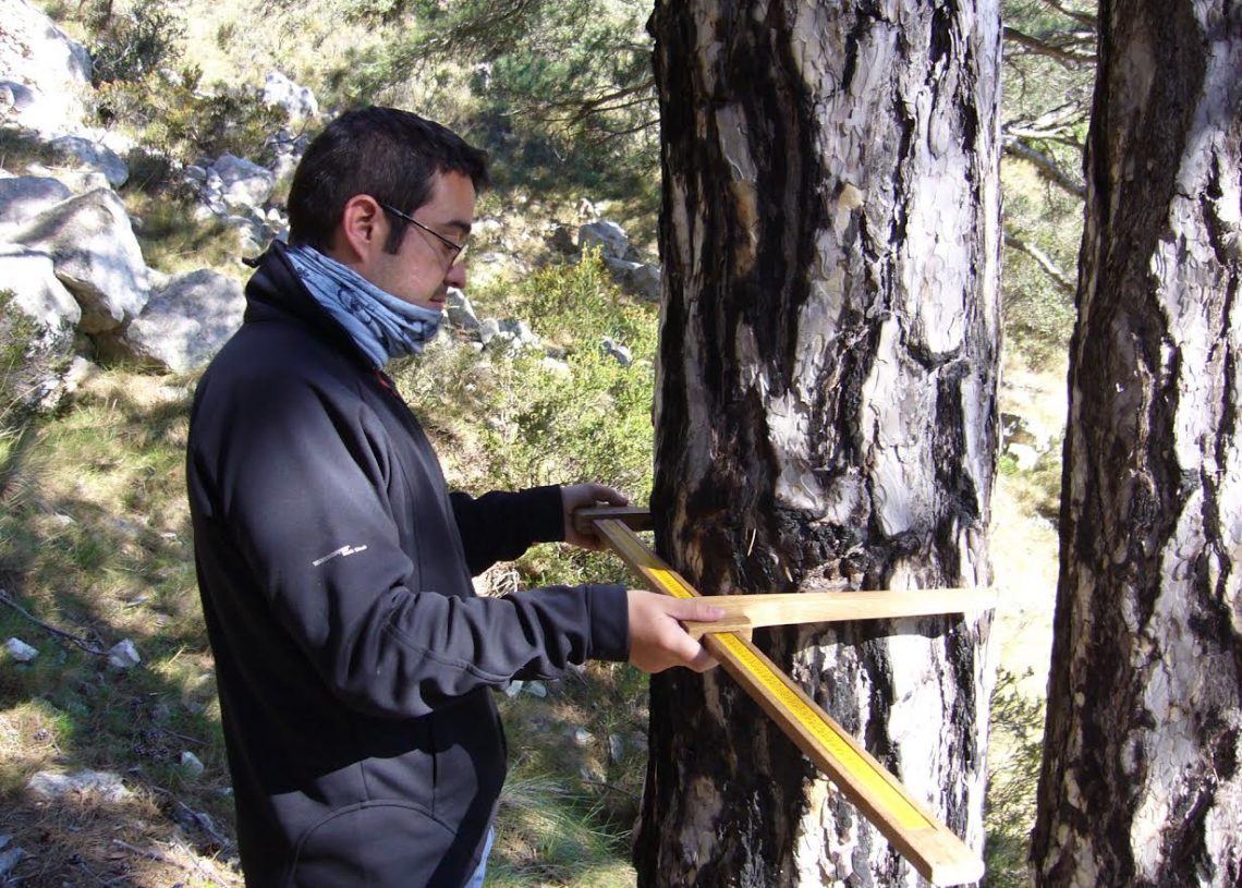 El COPATE recordarà Climent Ferré amb una jornada i uns premis sobre medi ambient