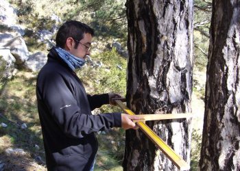 El COPATE recordarà Climent Ferré amb una jornada i uns premis sobre medi ambient