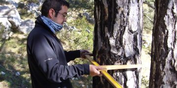 El COPATE recordarà Climent Ferré amb una jornada i uns premis sobre medi ambient