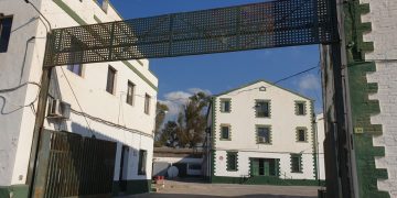 ‘Olis de l’Ebre: de la muntanya a la Pampa i els Fiords’, per Fernando Jaime Soler