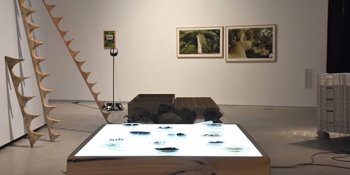 La Biennal d’Art d’Amposta presenta quinze obres amb eines per ‘pensar’ la crisi actual