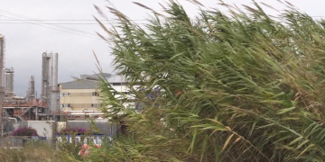 Campredó recupera els Marjals, una zona humida al cor del polígon industrial