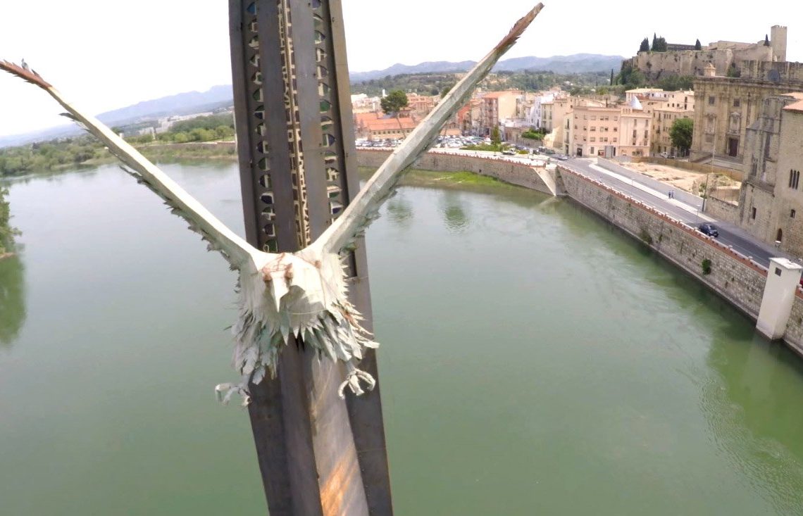 ‘A Tortosa, la lluita antifeixista continua!’, per Guillem Argelich