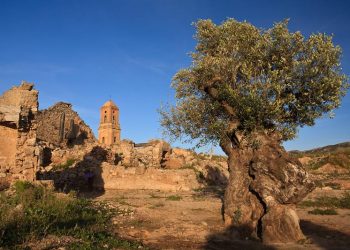 Els 4 punts arqueològics que ens aporten informació sobre la Batalla de l’Ebre