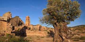 Els 4 punts arqueològics que ens aporten informació sobre la Batalla de l’Ebre