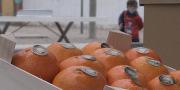 El govern repartirà clementines a més de 254.000 alumnes de tot Catalunya