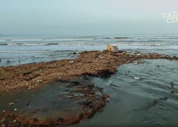 Els efectes del canvi climàtic sobre el Delta, a ‘El cazador de cerebros’ de TVE
