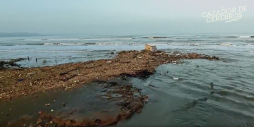 Els efectes del canvi climàtic sobre el Delta, a ‘El cazador de cerebros’ de TVE