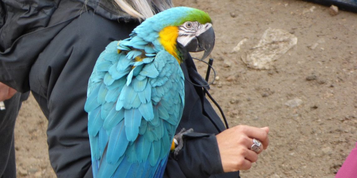 [#Fotogaleria] Imatges inèdites del rodatge de ‘Los herederos de la tierra’ a Tortosa