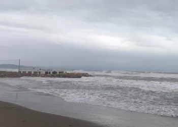 ‘El Delta no es mor, el maten’, per Guillem Argelich