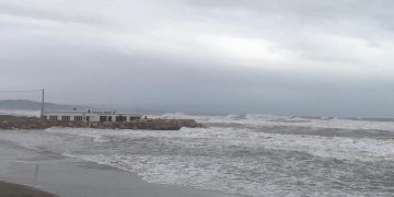 ‘El Delta no es mor, el maten’, per Guillem Argelich