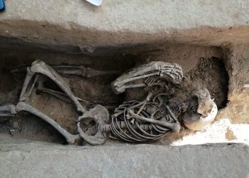 Troben 61 fosses en un mas de Móra, hospital del front durant la Batalla de l’Ebre