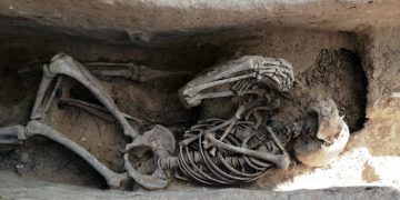 Troben 61 fosses en un mas de Móra, hospital del front durant la Batalla de l’Ebre