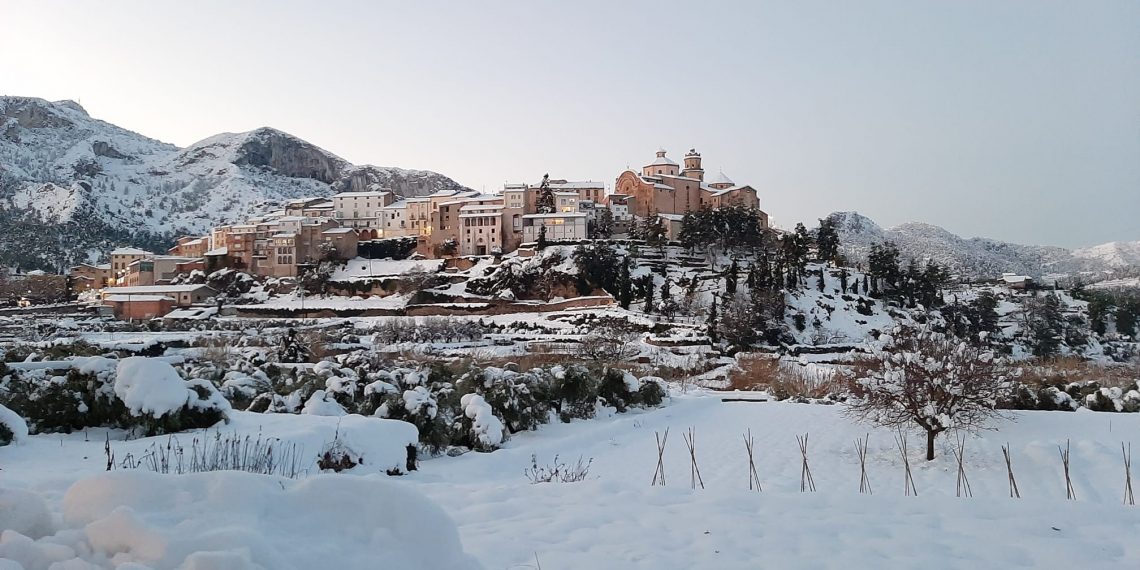[#Fotogaleria]  📷 La Ribera d’Ebre es recupera de la nevada del Filomena
