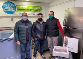 Els pescadors de Sant Jaume d’Enveja venen angules vives a través de la cooperativa i a internet