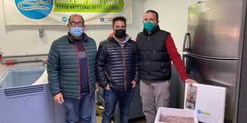 Els pescadors de Sant Jaume d’Enveja venen angules vives a través de la cooperativa i a internet
