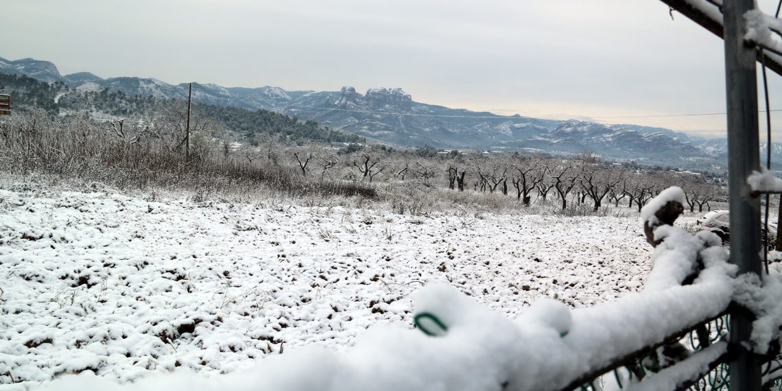 [#Fotogaleria] La neu deixa paisatges de postal en alguns municipis de l’Ebre i Tarragona