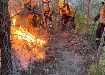 Agricultura fa actuacions per prevenir incendis forestals a la serra de Tivissa