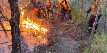 Agricultura fa actuacions per prevenir incendis forestals a la serra de Tivissa