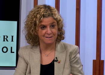 Roigé: ‘Ja he demanat per escrit una passarel·la per a la pilastra del monument’