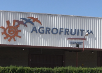 Condemnat el gerent d’Agrofruit a 27 mesos de presó i una sanció de 800.000 euros