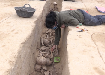 L’excavació de la fossa de Móra d’Ebre permet recuperar 54 cossos