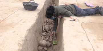 L’excavació de la fossa de Móra d’Ebre permet recuperar 54 cossos