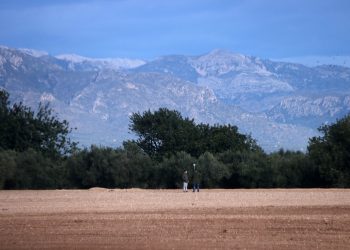 Santa Bàrbara consultarà la població sobre una planta de compostatge de gallinassa i purins
